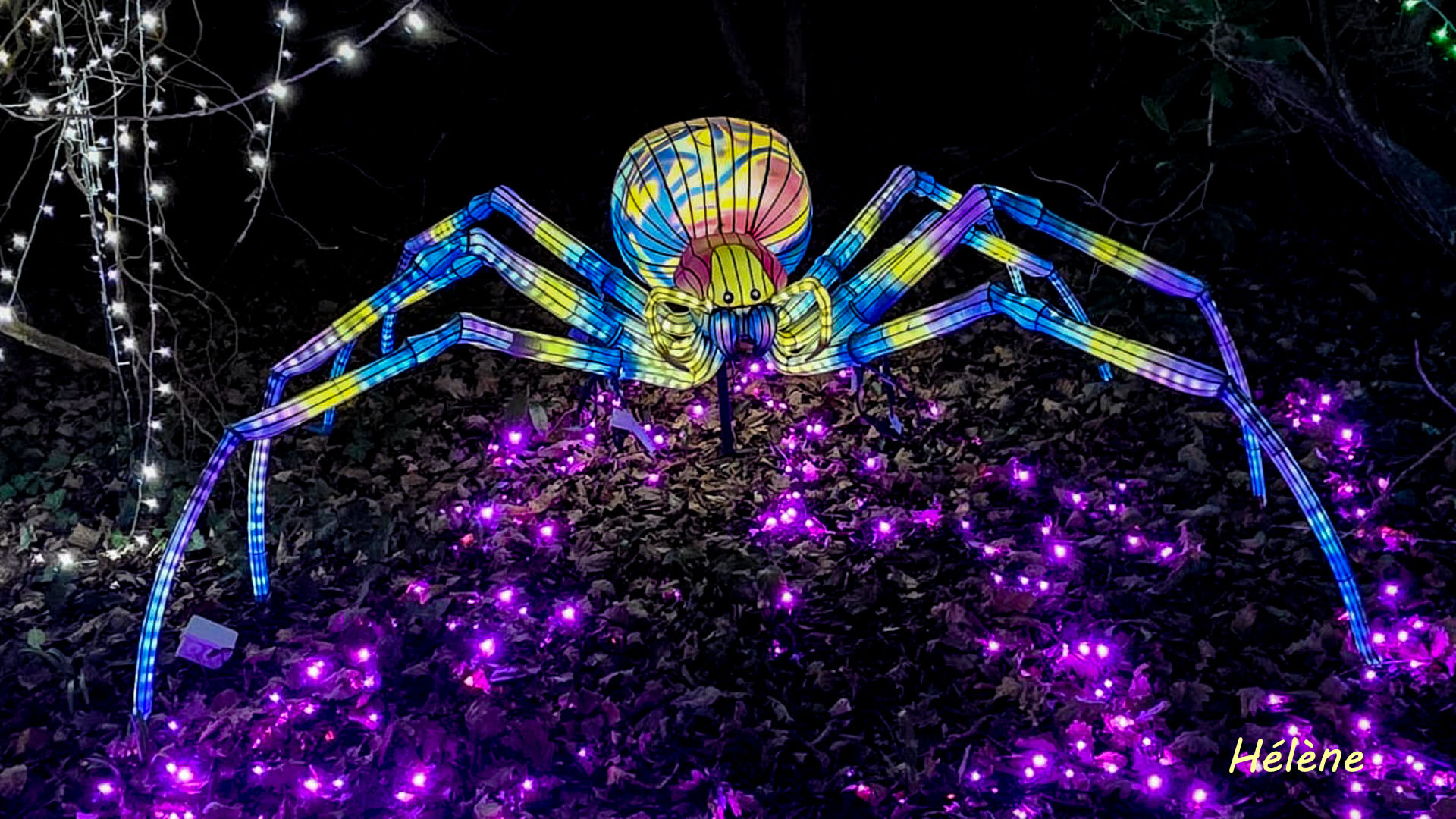 THOIRY -Illumination ,  Lumières sauvages 2025-2026